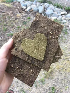 cow dung seed paper