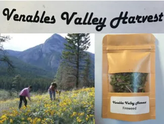 venables valley harvest