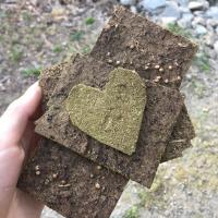 cow dung seed paper