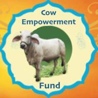cow empowerment fund 