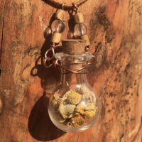 chamomile
