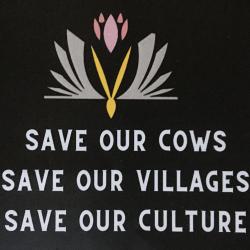 Save our cows