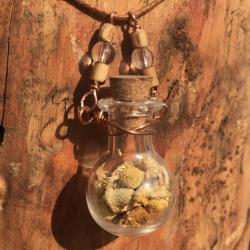 chamomile